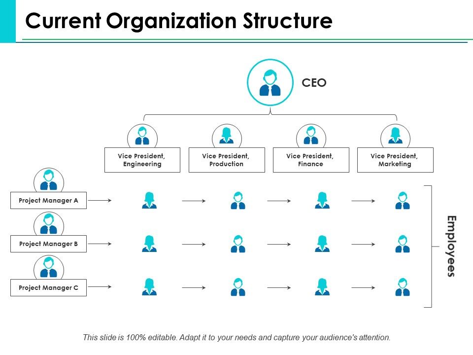 Current_Organization_Structure_Ppt_PowerPoint_Presentation_Summary_Visual_Aids_Slide_1.jpg