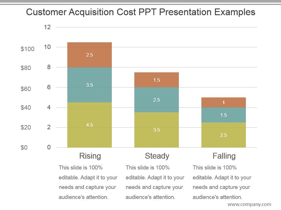 Customer_Acquisition_Cost_Ppt_Presentation_Examples_1.jpg