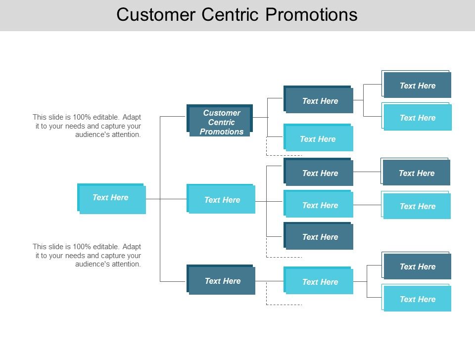 Customer_Centric_Promotions_Ppt_PowerPoint_Presentation_Slides_Model_Cpb_Slide_1.jpg
