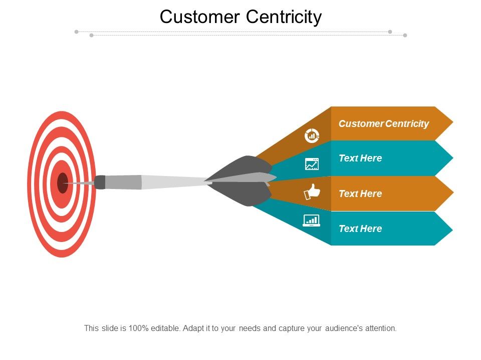 Customer_Centricity_Ppt_PowerPoint_Presentation_Styles_Graphics_Download_Slide_1.jpg