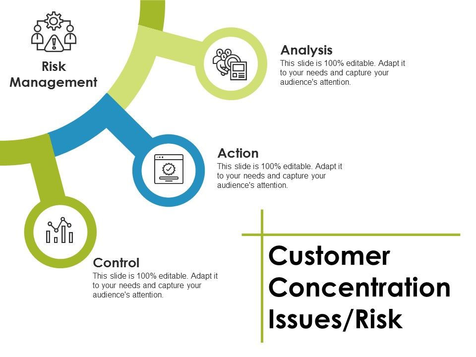 Customer_Concentration_Issues_Risk_Ppt_PowerPoint_Presentation_Outline_Show_Slide_1.jpg