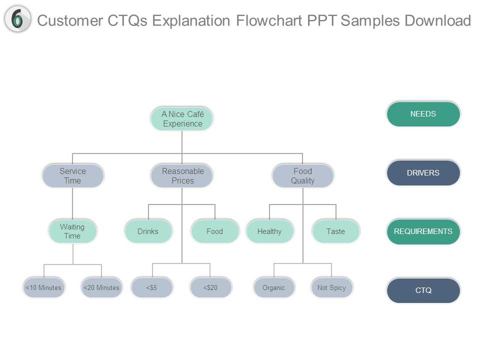 Customer_Ctqs_Explanation_Flowchart_Ppt_Samples_Download_1.jpg