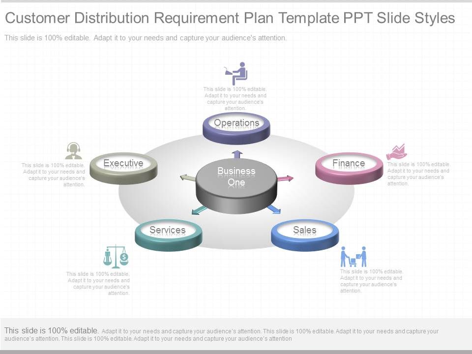 Customer_Distribution_Requirement_Plan_Template_Ppt_Slide_Styles_1.jpg