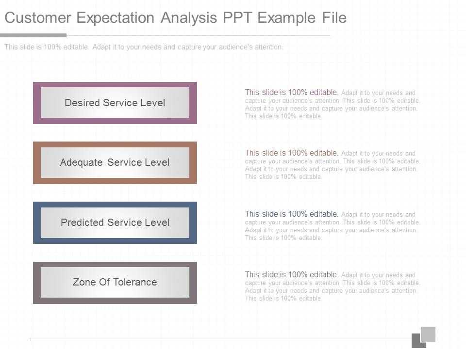 Customer_Expectation_Analysis_Ppt_Example_File_1.jpg