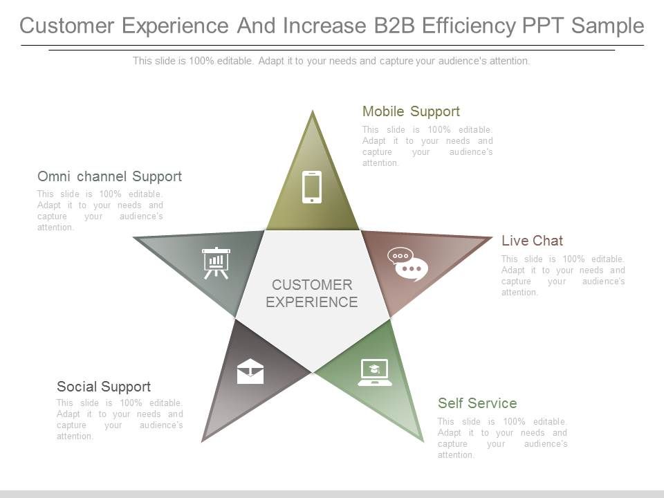 Customer_Experience_And_Increase_B2b_Efficiency_Ppt_Sample_1.jpg