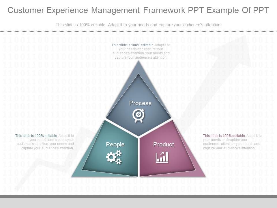 Customer_Experience_Management_Framework_Ppt_Example_Of_Ppt_1.jpg
