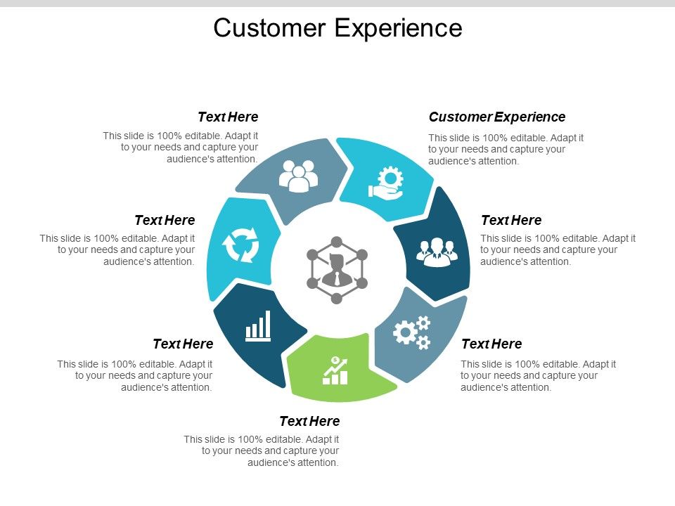 Customer_Experience_Ppt_PowerPoint_Presentation_Example_2015_Cpb_Slide_1.jpg