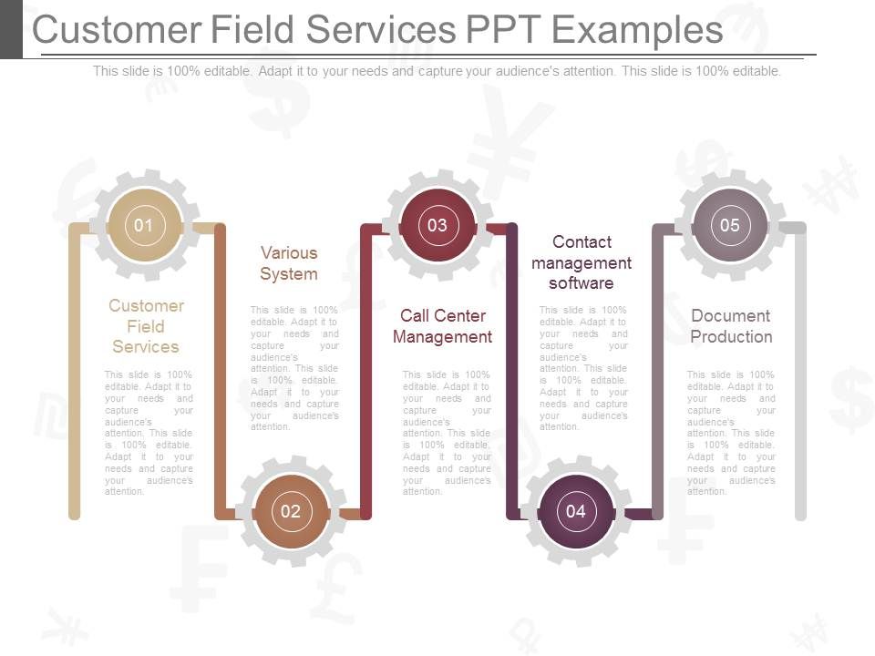 Customer_Field_Services_Ppt_Examples_1.jpg
