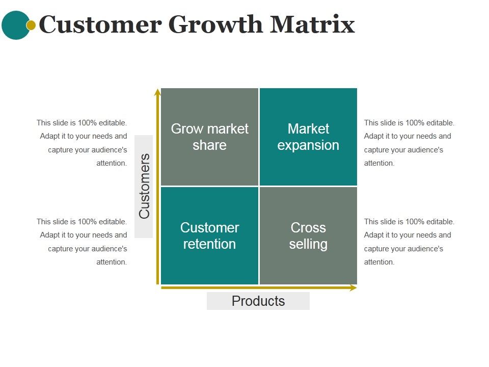 Customer_Growth_Matrix_Ppt_PowerPoint_Presentation_Ideas_Slide_1.jpg