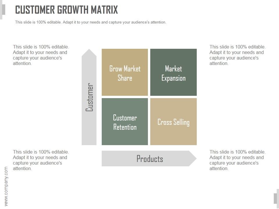 Customer_Growth_Matrix_Ppt_PowerPoint_Presentation_Slides_Slide_1.jpg