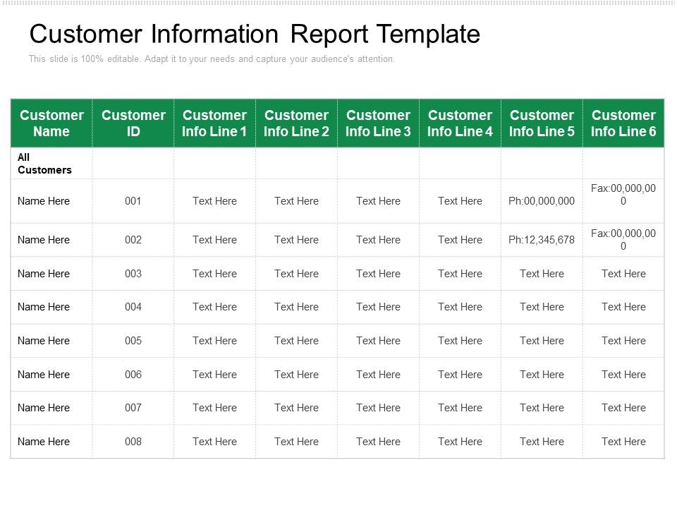 Customer_Information_Report_Template_Ppt_PowerPoint_Presentation_Professional_Themes_PDF_Slide_1.jpg