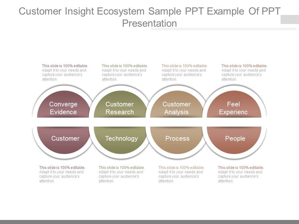 Customer_Insight_Ecosystem_Sample_Ppt_Example_Of_Ppt_Presentation_1.jpg