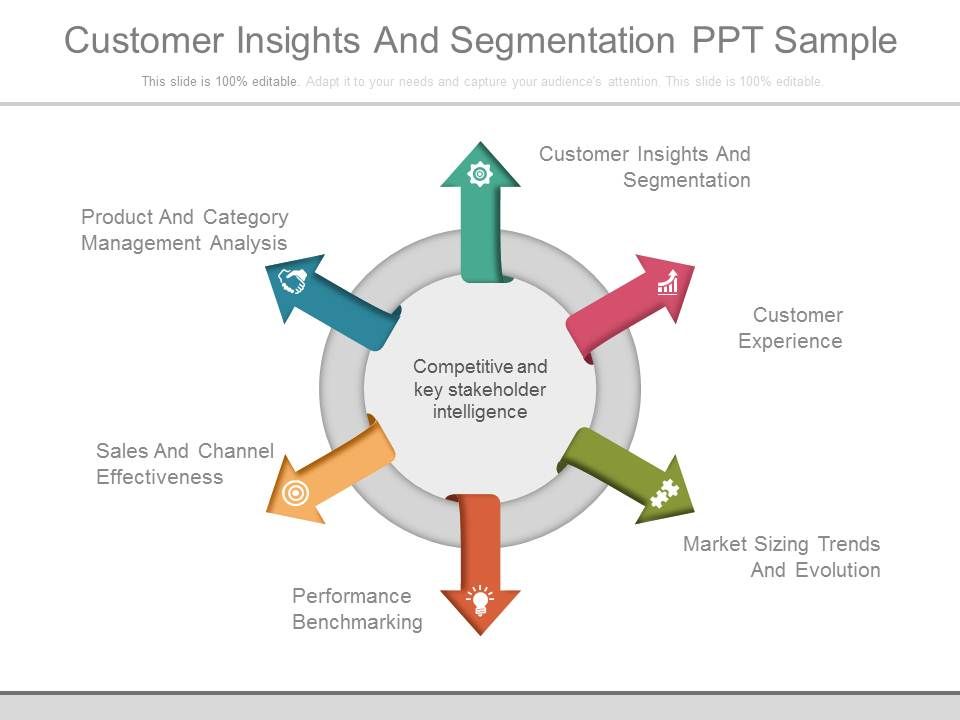 Customer_Insights_And_Segmentation_Ppt_Sample_1.jpg