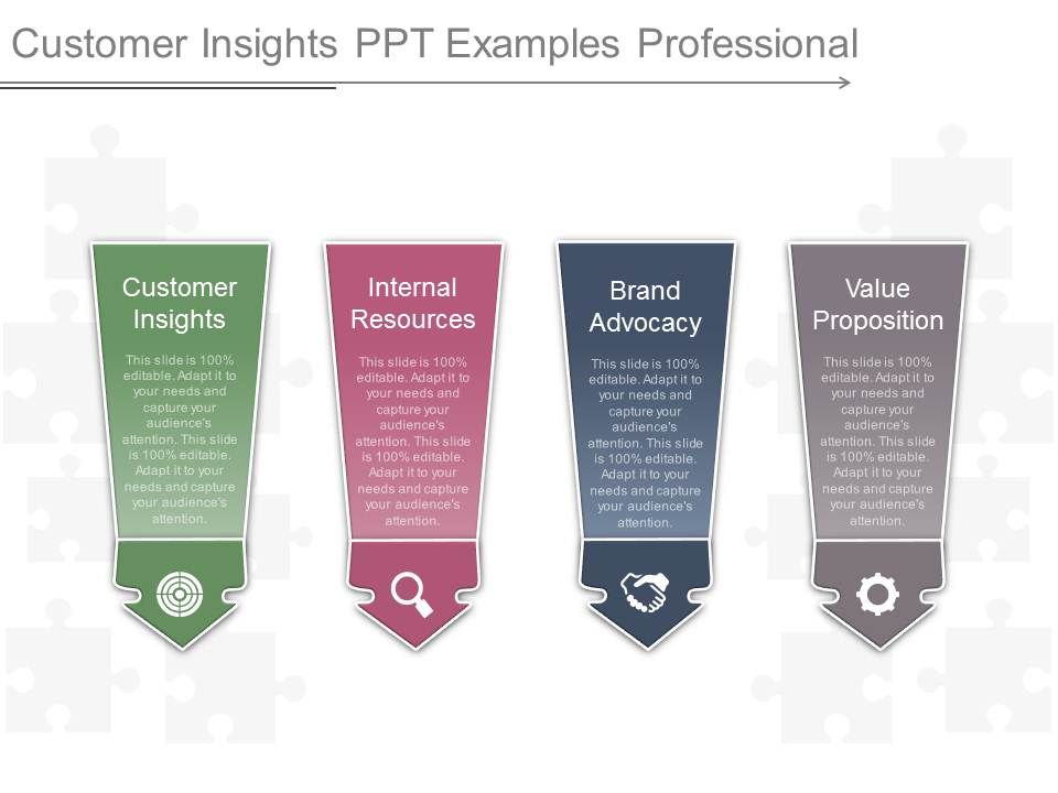 Customer_Insights_Ppt_Examples_Professional_1.jpg