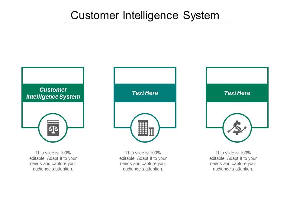 Customer_Intelligence_System_Ppt_PowerPoint_Presentation_Portfolio_Graphics_Design_Cpb_Slide_1.jpg