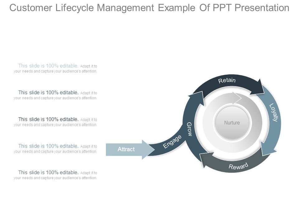 Customer_Lifecycle_Management_Example_Of_Ppt_Presentation_1.jpg