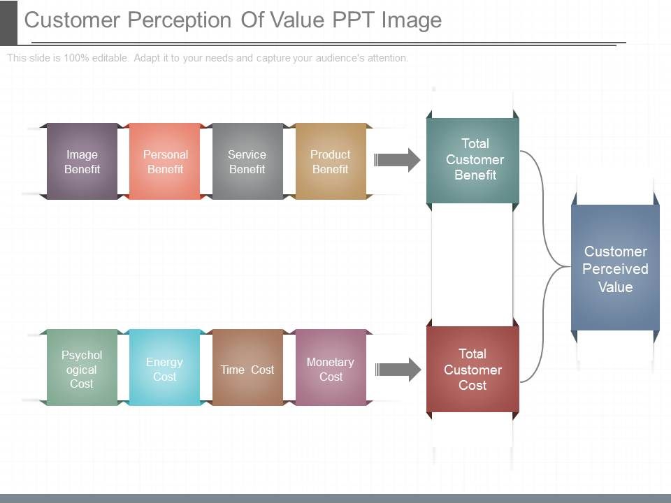 Customer_Perception_Of_Value_Ppt_Image_1.jpg