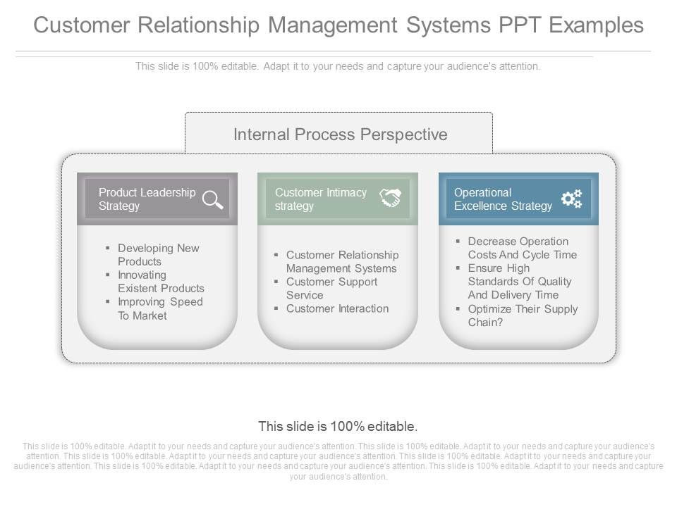 Customer_Relationship_Management_Systems_Ppt_Examples_1.jpg