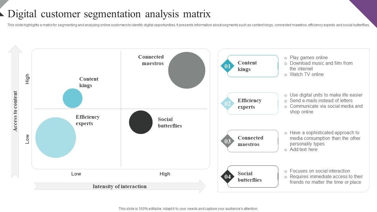 Customer_Segmentation_And_Behavioral_Analysis_Digital_Customer_Segmentation_Portrait_PDF_Slide_1.jpg
