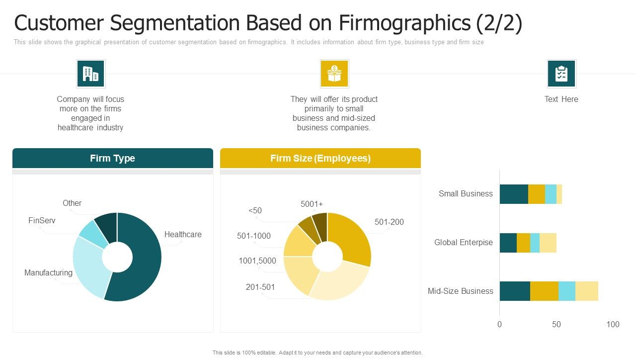 Customer_Segmentation_Based_On_Firmographics_Firms_Portrait_PDF_Slide_1.jpg