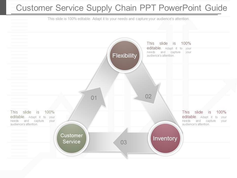 Customer_Service_Supply_Chain_Ppt_Powerpoint_Guide_1.jpg