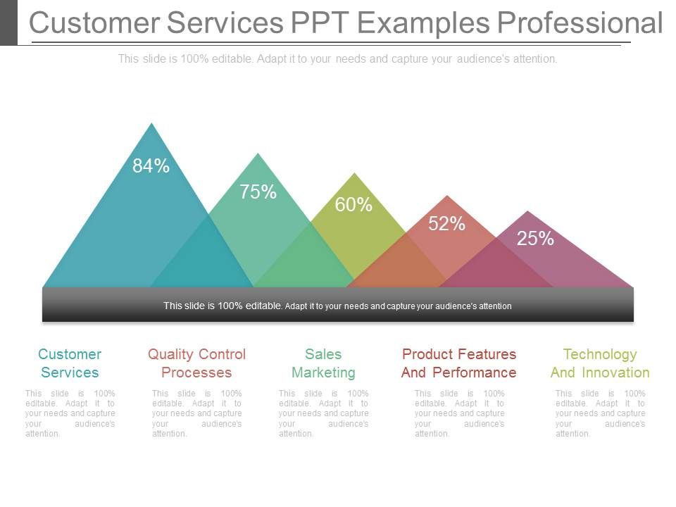 Customer_Services_Ppt_Examples_Professional_1.jpg