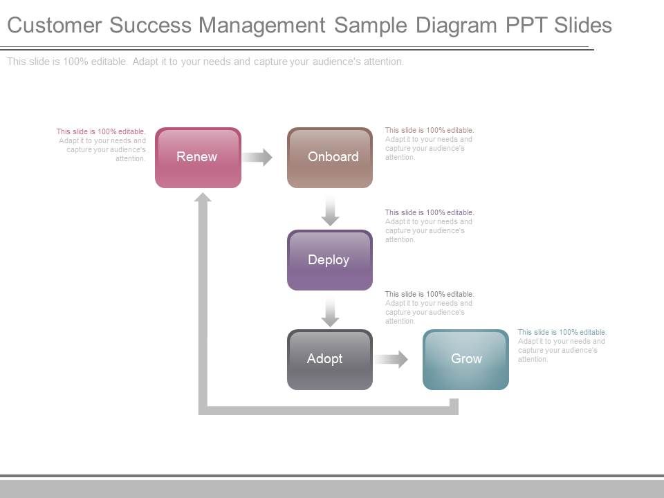 Customer_Success_Management_Sample_Diagram_Ppt_Slides_1.jpg