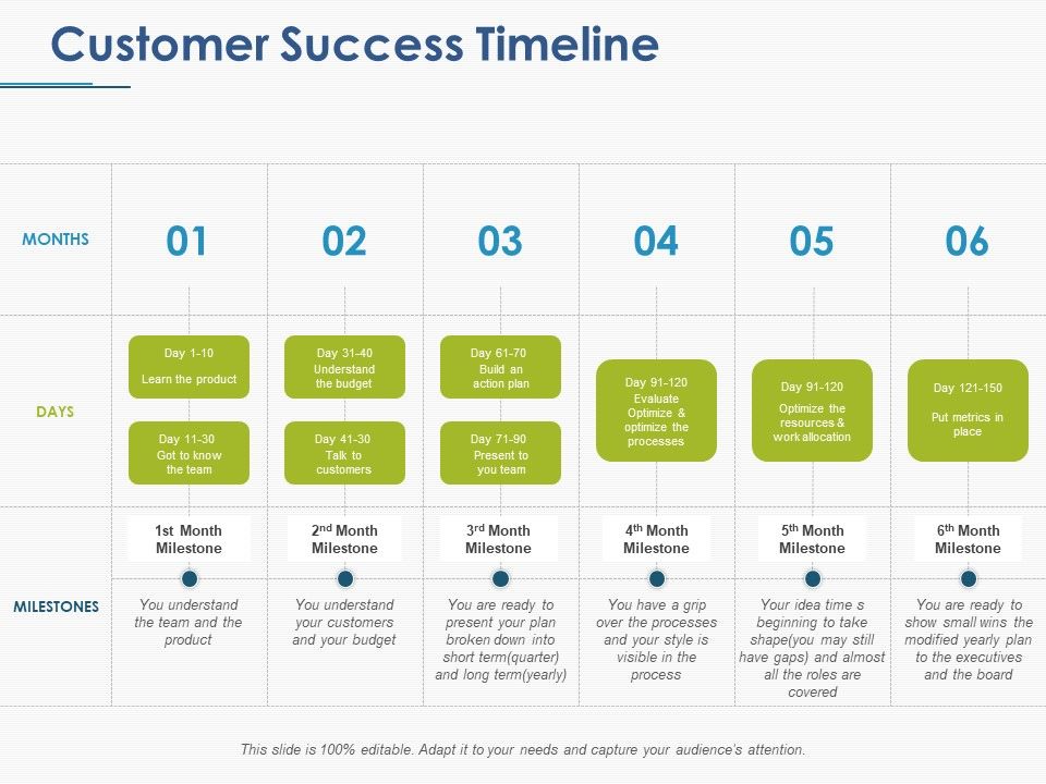 Customer_Success_Timeline_Ppt_PowerPoint_Presentation_Themes_Slide_1.jpg
