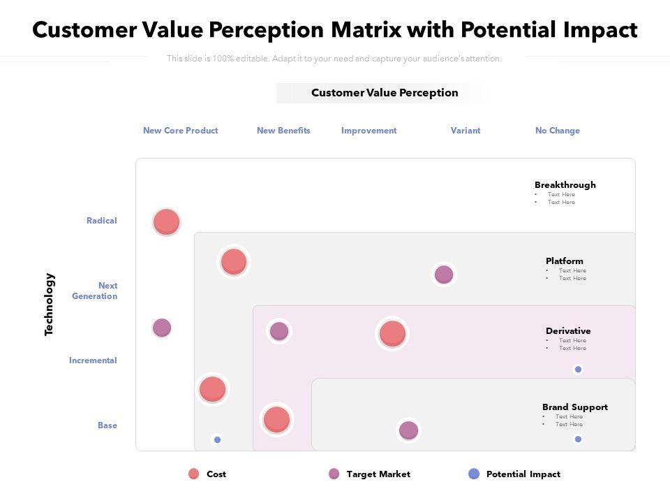 Customer_Value_Perception_Matrix_With_Potential_Impact_Ppt_PowerPoint_Presentation_Pictures_Ideas_PDF_Slide_1.jpg