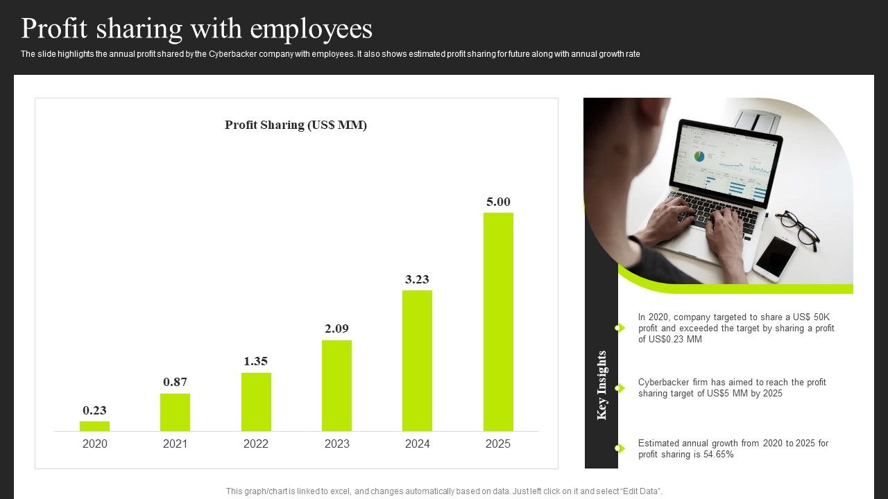 Cyberbacker_Company_Summary_Profit_Sharing_With_Employees_Professional_PDF_Slide_1.jpg