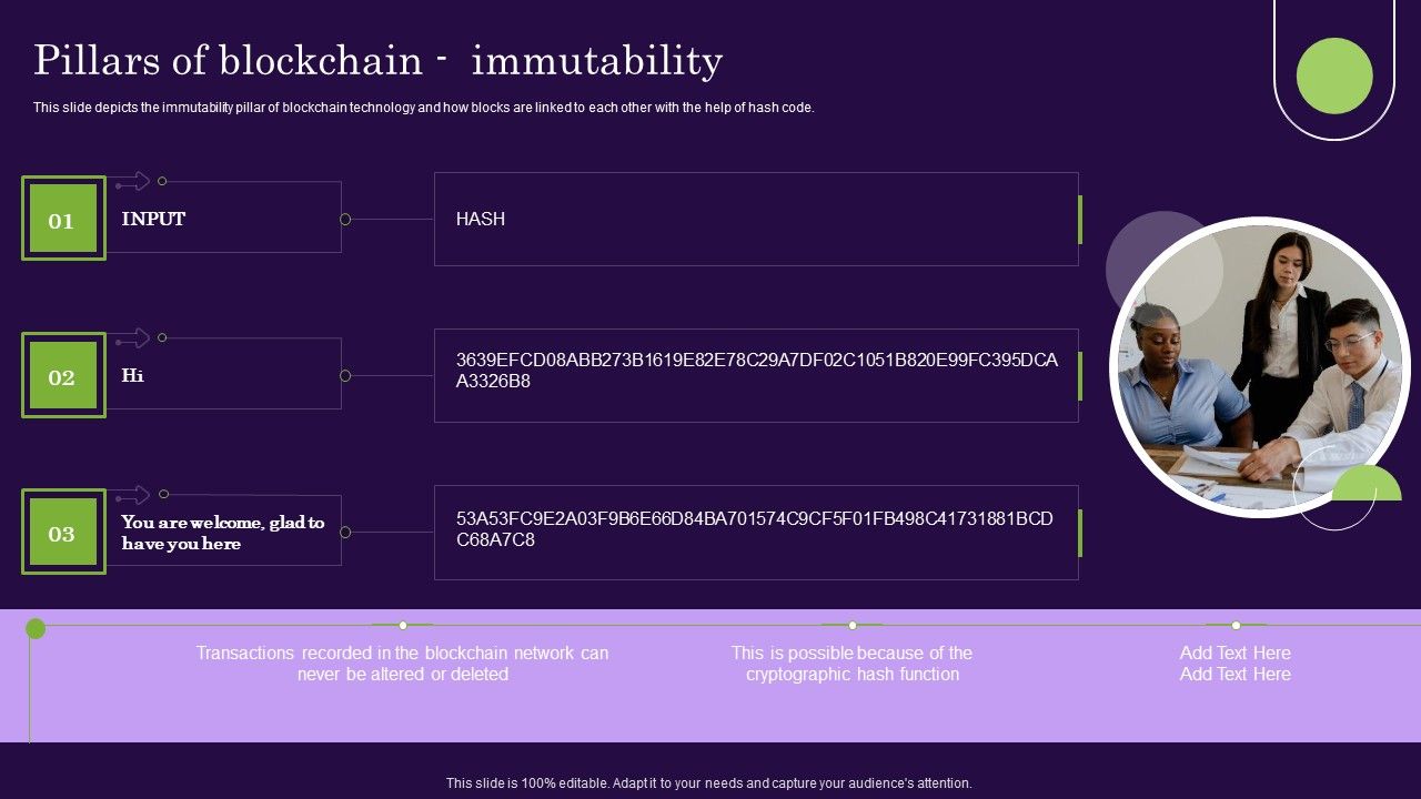 DLT_Technology_Pillars_Of_Blockchain_Immutability_Ppt_Model_Outfit_PDF_Slide_1.jpg