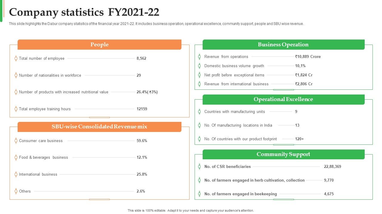 Dabur_Business_Profile_Company_Statistics_FY2021_To_22_Ppt_Professional_Summary_PDF_Slide_1.jpg