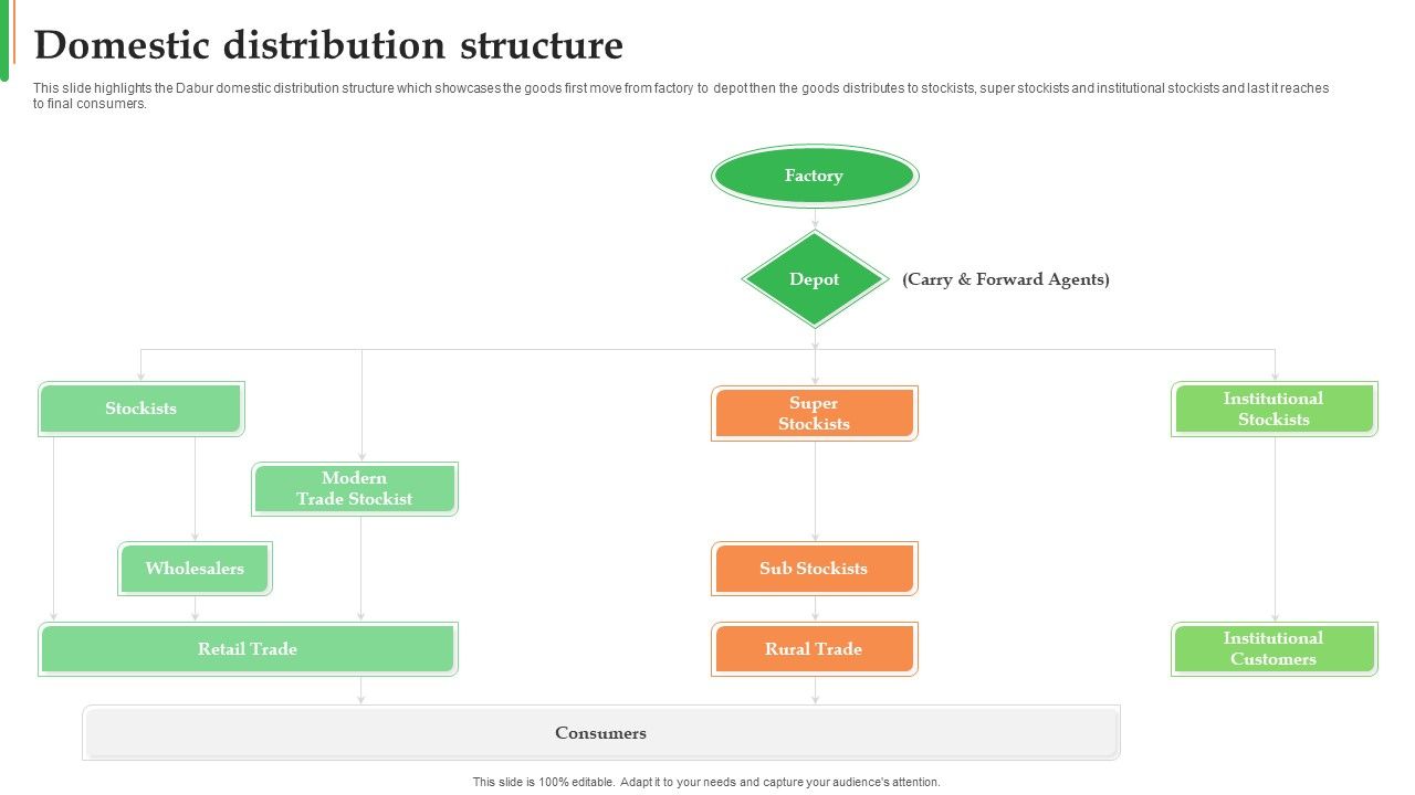 Dabur_Business_Profile_Domestic_Distribution_Structure_Ppt_Pictures_Diagrams_PDF_Slide_1.jpg