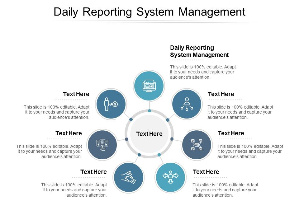 Daily_Reporting_System_Management_Ppt_PowerPoint_Presentation_Gallery_Maker_Cpb_Slide_1.jpg