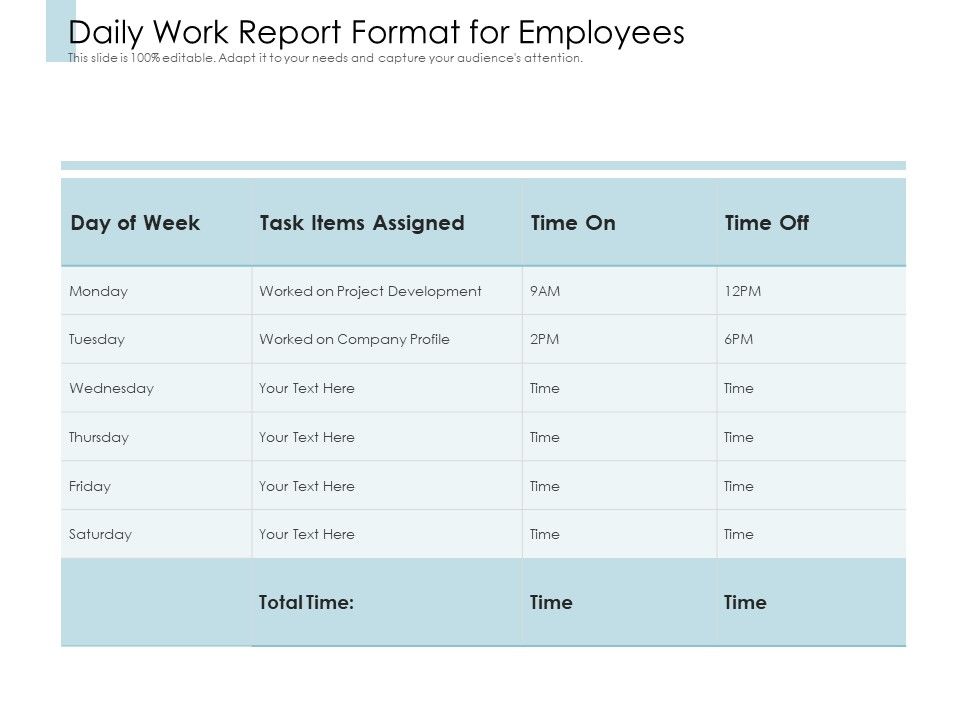 Daily_Work_Report_Format_For_Employees_Ppt_PowerPoint_Presentation_Layouts_Example_PDF_Slide_1.jpg