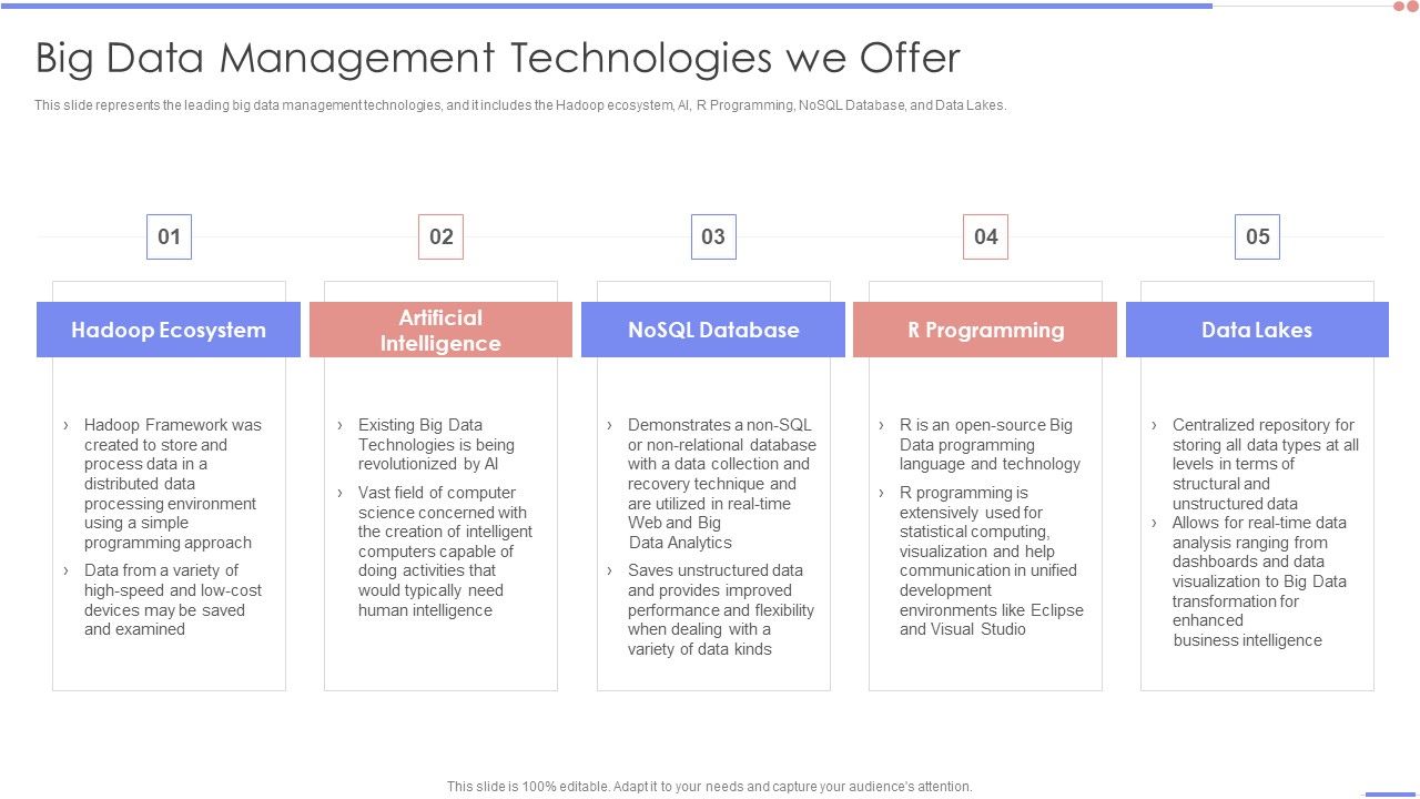 Data_Analytics_Management_Big_Data_Management_Technologies_We_Offer_Topics_PDF_Slide_1.jpg