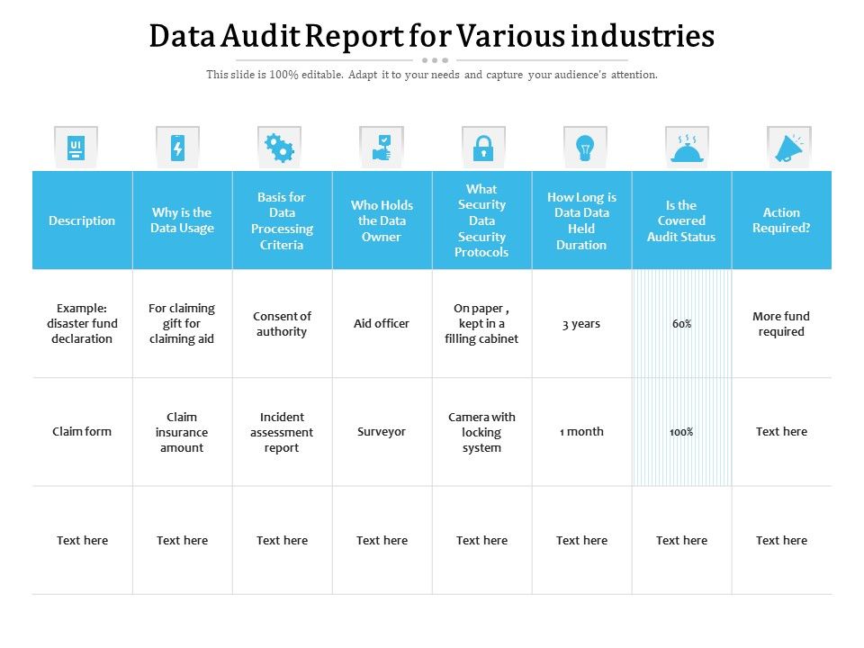 Data_Audit_Report_For_Various_Industries_Ppt_PowerPoint_Presentation_Show_Background_Designs_PDF_Slide_1.jpg
