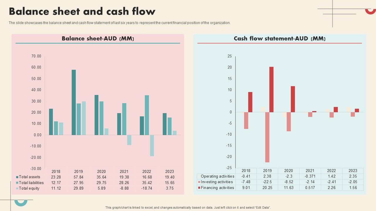 Data_Driven_Marketing_Solutions_Firm_Company_Profile_Balance_Sheet_And_Cash_Flow_Guidelines_PDF_Slide_1.jpg