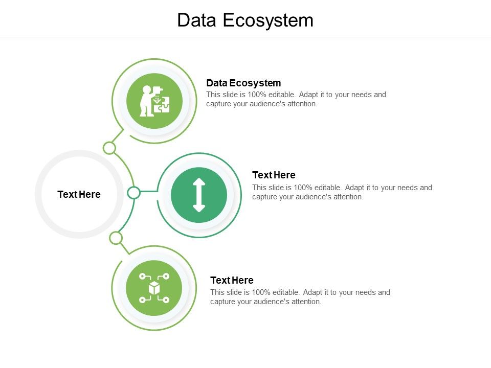 Data_Ecosystem_Ppt_PowerPoint_Presentation_Gallery_Introduction_Cpb_Pdf_Slide_1.jpg