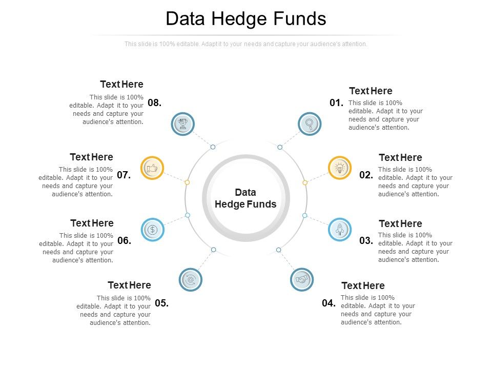Data_Hedge_Funds_Ppt_PowerPoint_Presentation_Styles_Gallery_Cpb_Slide_1.jpg