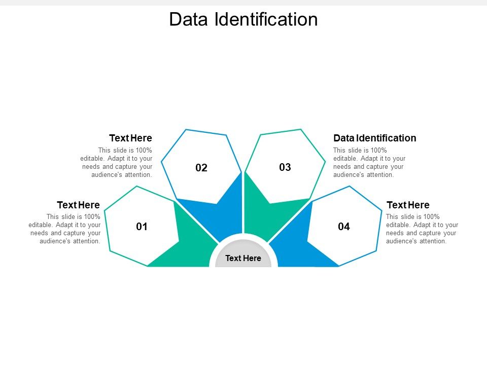 Data_Identification_Ppt_PowerPoint_Presentation_Ideas_Format_Cpb_Slide_1.jpg
