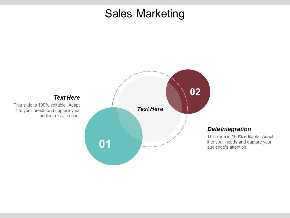 Data_Integration_Ppt_PowerPoint_Presentation_File_Samples_Cpb_Slide_1.jpg