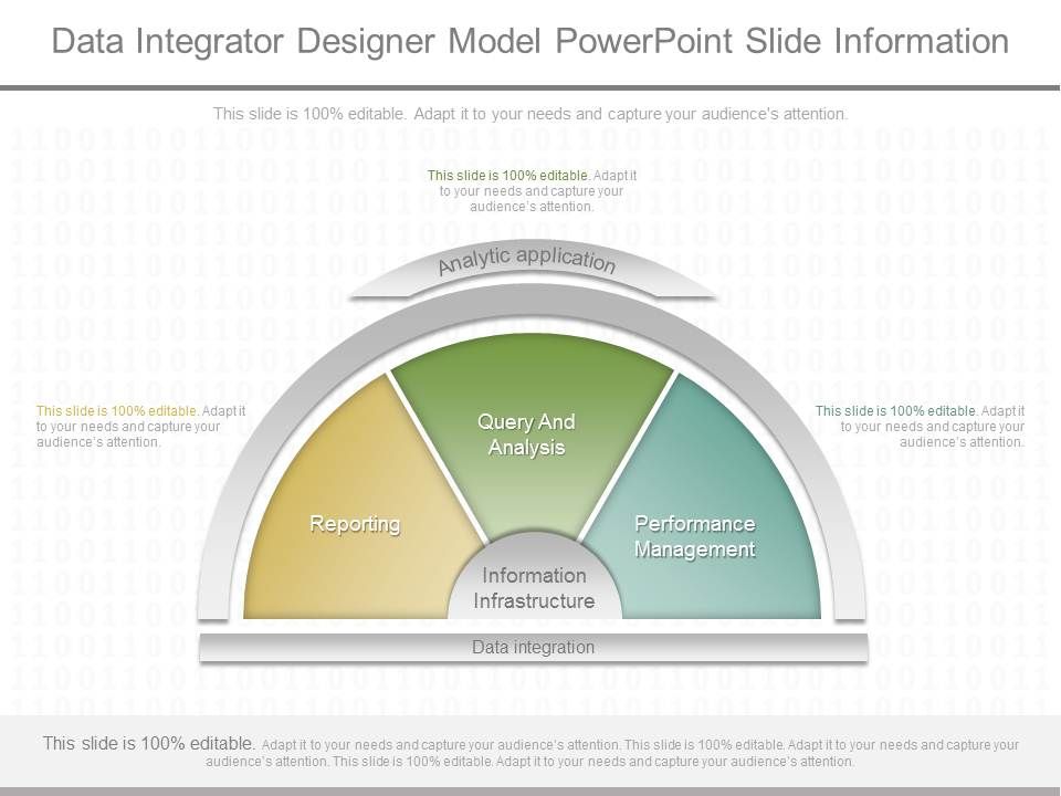 Data_Integrator_Designer_Model_Powerpoint_Slide_Information_1.jpg