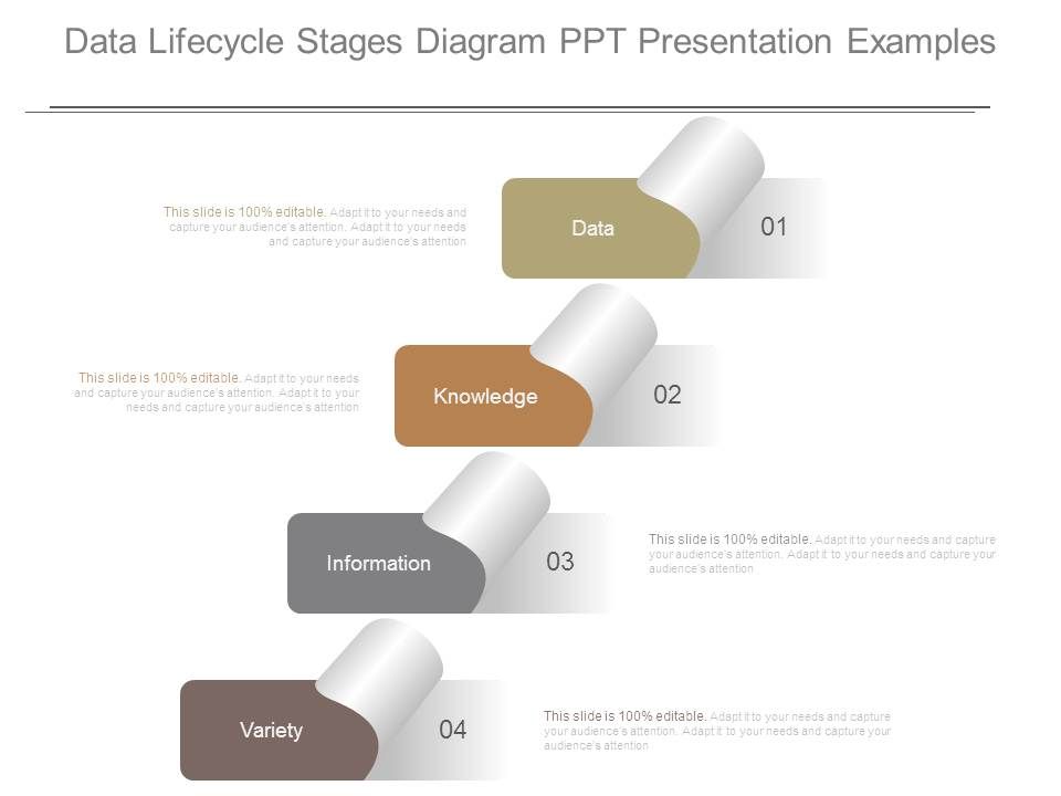 Data_Lifecycle_Stages_Diagram_Ppt_Presentation_Examples_1.jpg