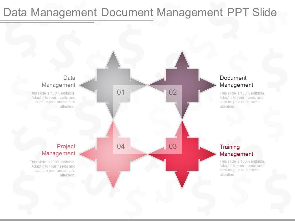 Data_Management_Document_Management_Ppt_Slide_1.jpg