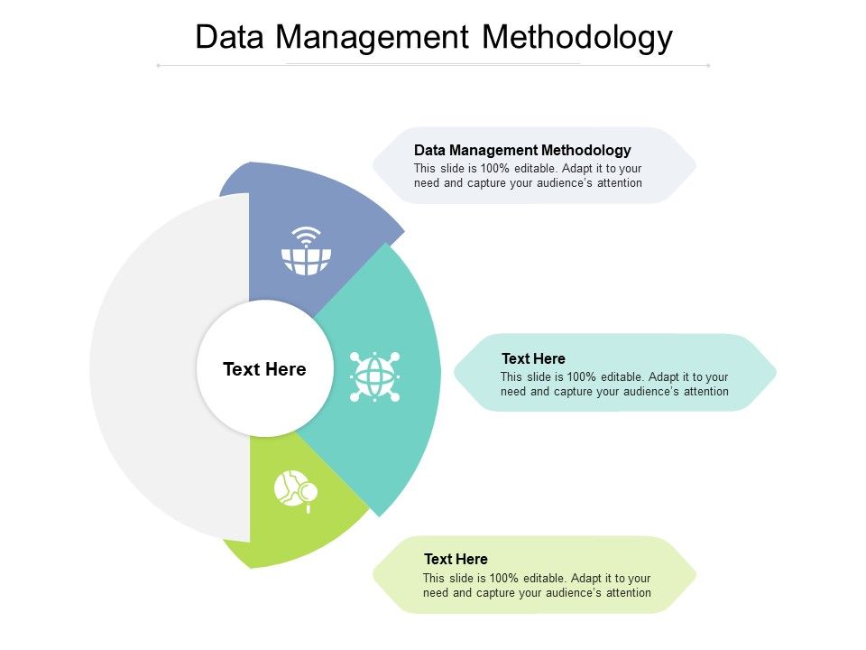 Data_Management_Methodology_Ppt_PowerPoint_Presentation_Outline_Format_Cpb_Slide_1.jpg