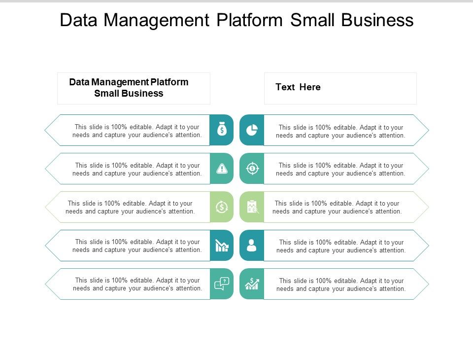 Data_Management_Platform_Small_Business_Ppt_PowerPoint_Presentation_Styles_Designs_Download_Cpb_Slide_1.jpg