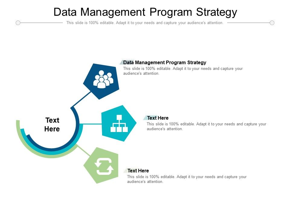 Data_Management_Program_Strategy_Ppt_PowerPoint_Presentation_Inspiration_Show_Cpb_Pdf_Slide_1.jpg