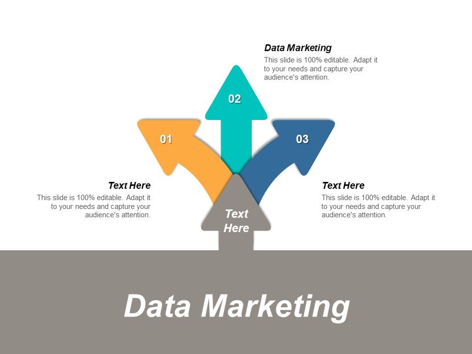 Data_Marketing_Ppt_PowerPoint_Presentation_Infographic_Template_Aids_Slide_1.jpg