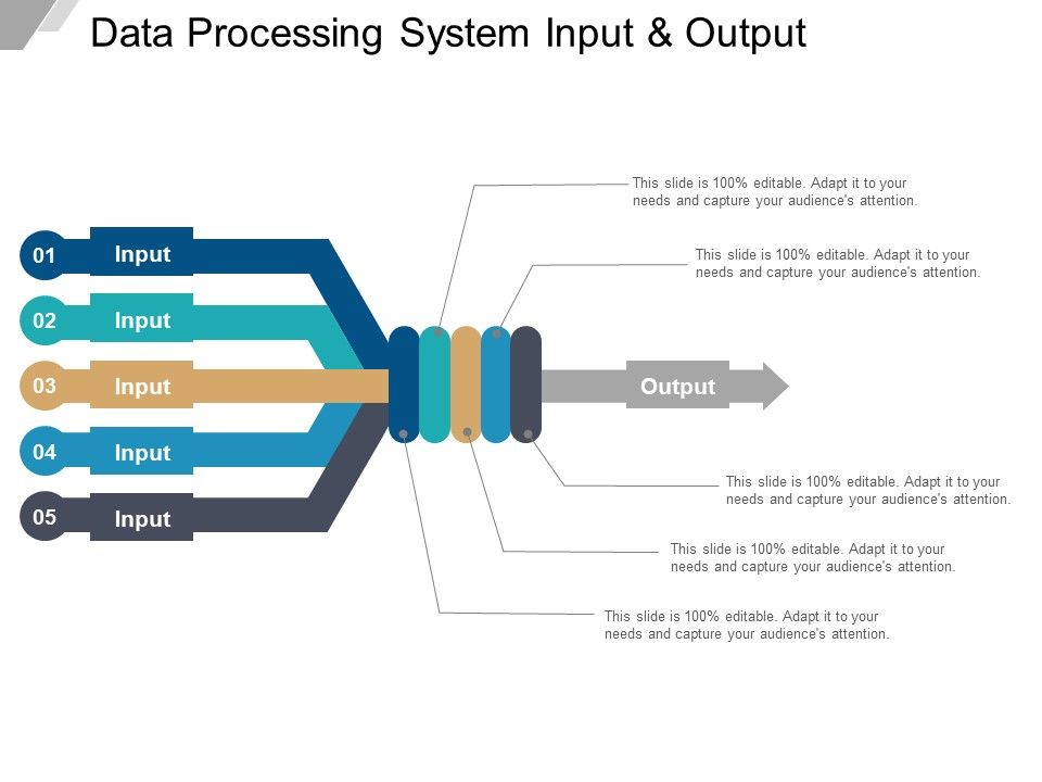 Data_Processing_System_Input_And_Output_Ppt_PowerPoint_Presentation_Icon_Information_Slide_1.jpg